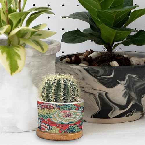 Pink and Blue Ceramic Round Flower Pots with Drainage Holes and Bamboo Tray I636