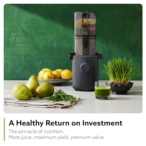 Self Feeding Slow Masticating Juicer Q597