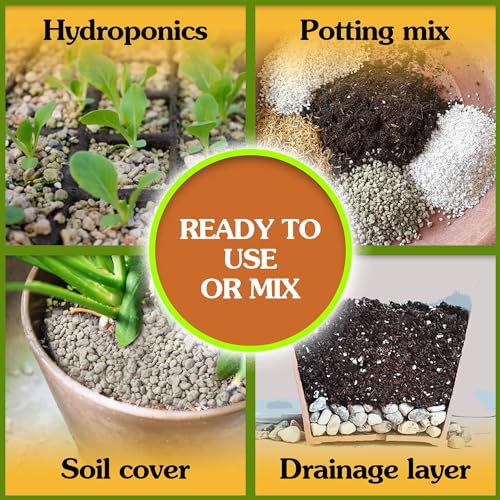 Horticultural Pumice 2 QT 1/4" - 3/8" W805