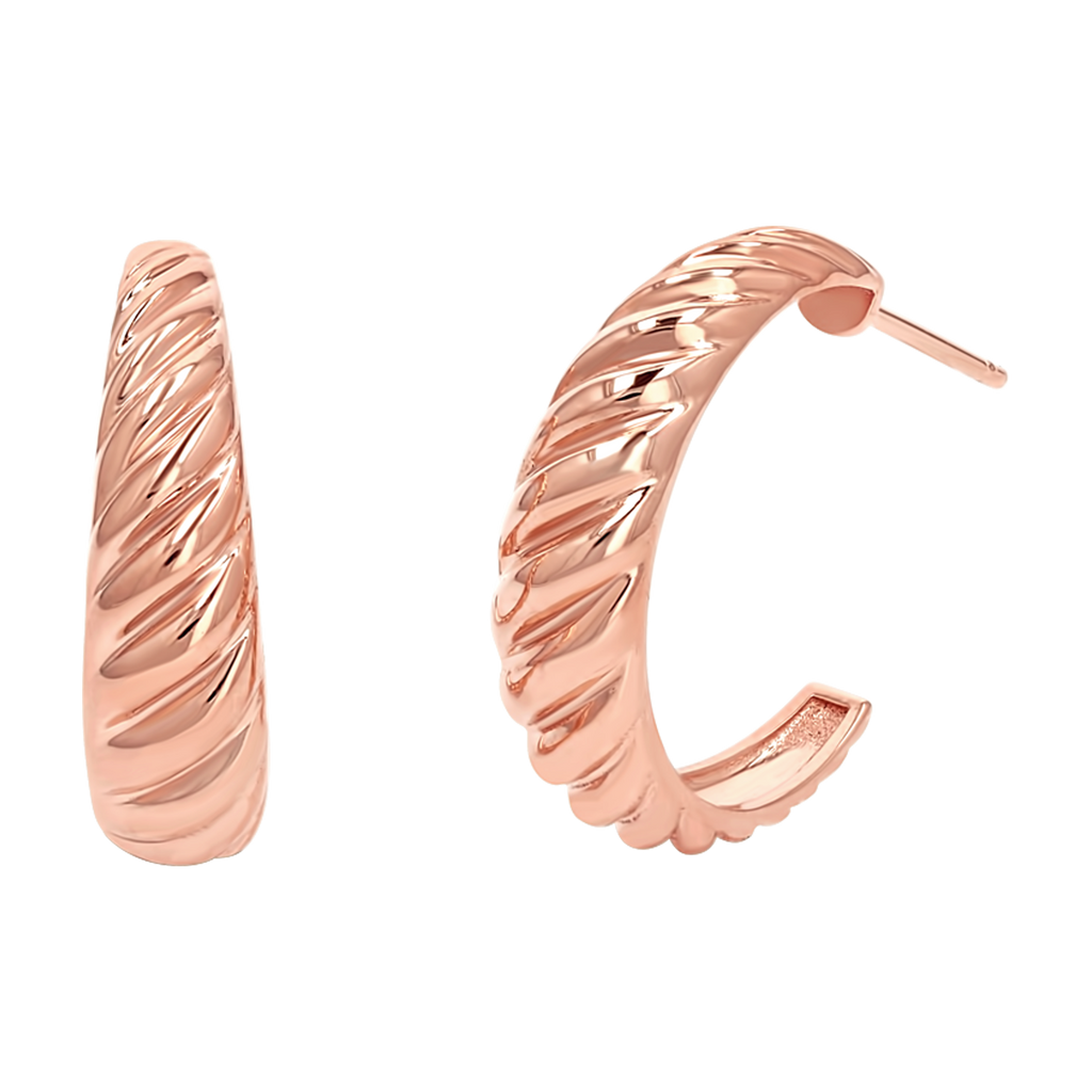 Croissant Hoop Earrings N60344