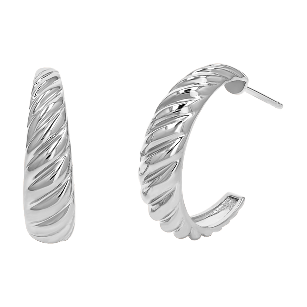Croissant Hoop Earrings N60344