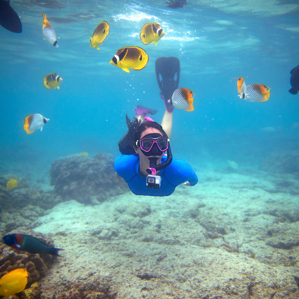 Adult Mask, Snorkel, Fins, Gear Bag Set A6341