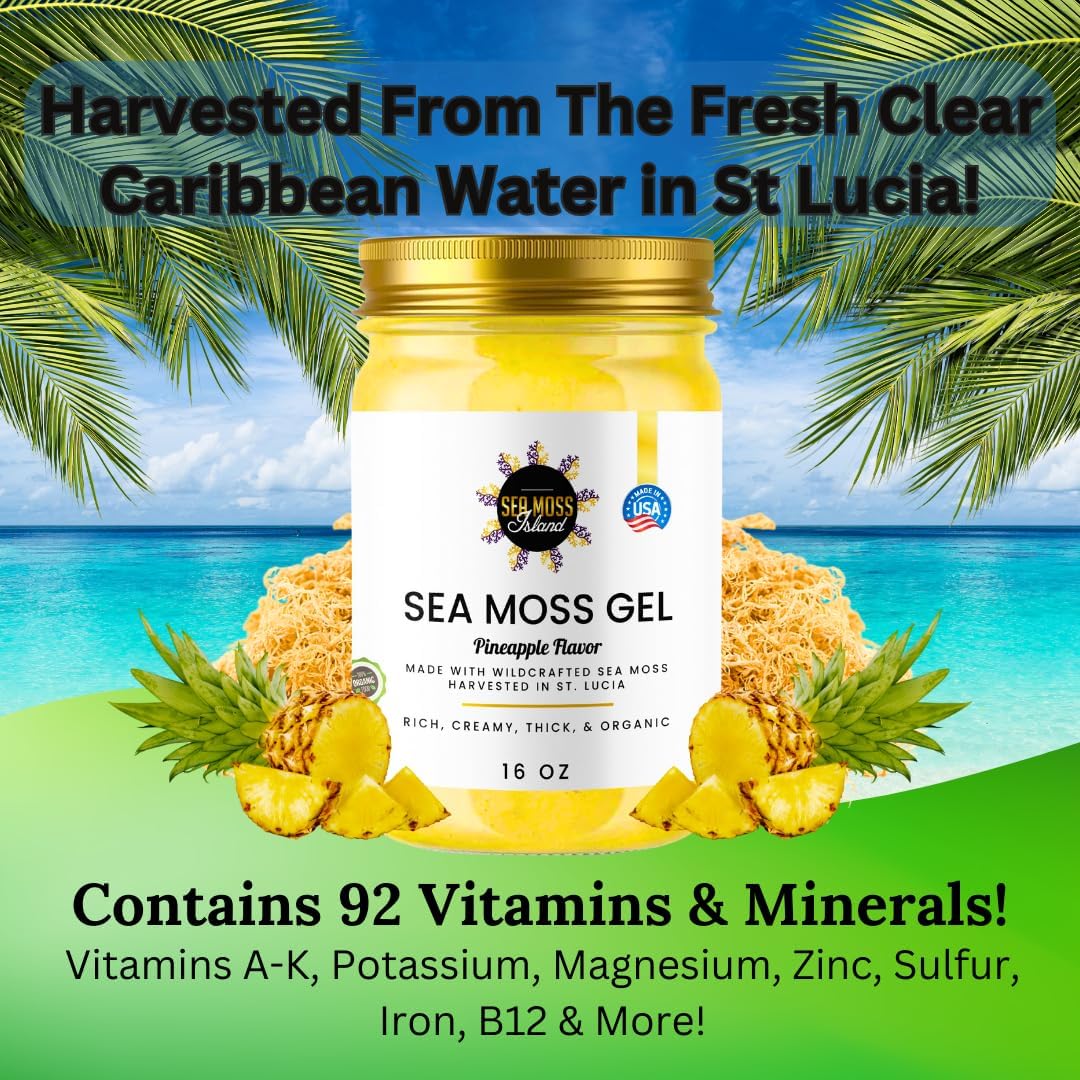 Organic Wildcrafted Irish Seamoss Gel M95034