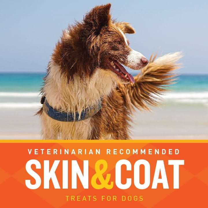Skin & Coat Soft Chews X8517