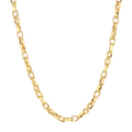 Twist Link Chain Necklace G690