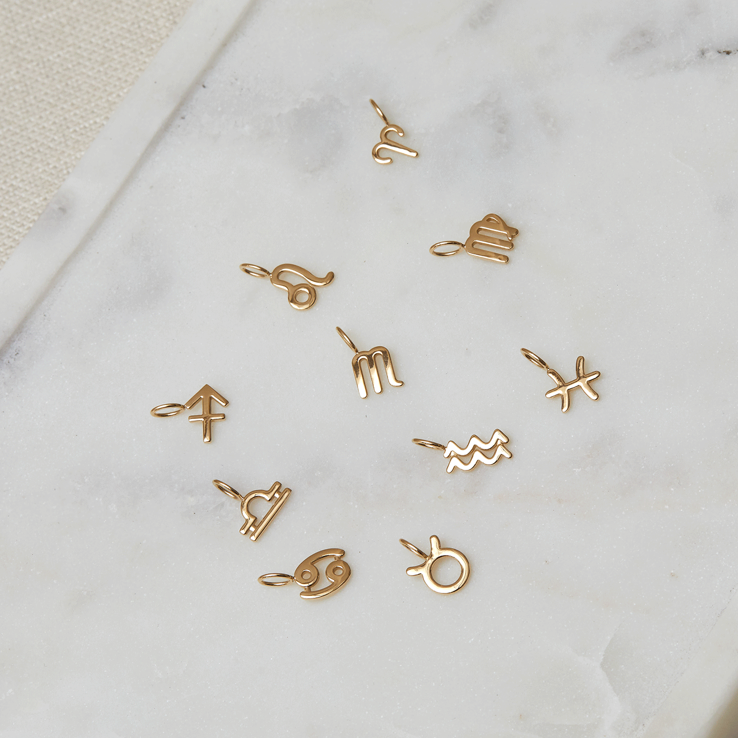 Zodiac Charm Z231706