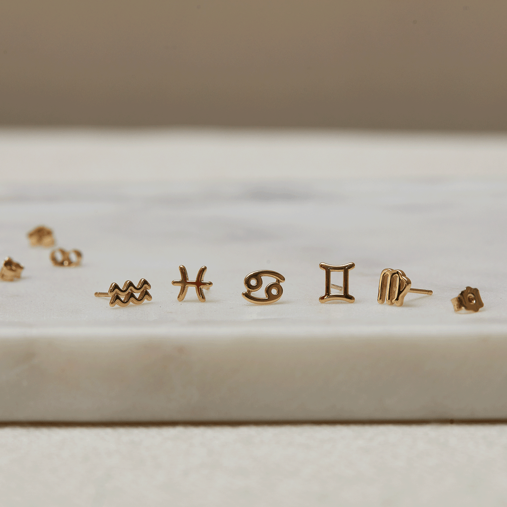 Zodiac Stud Earrings Y107