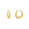 Petite Croissant Hoop Earrings Q23843