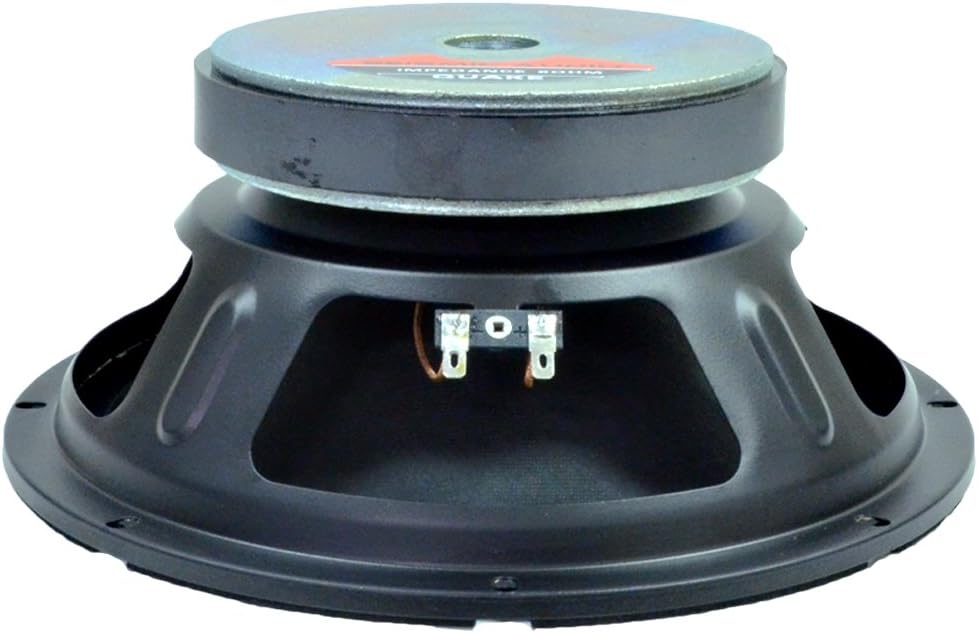 10" Raw Woofer Speaker T14834