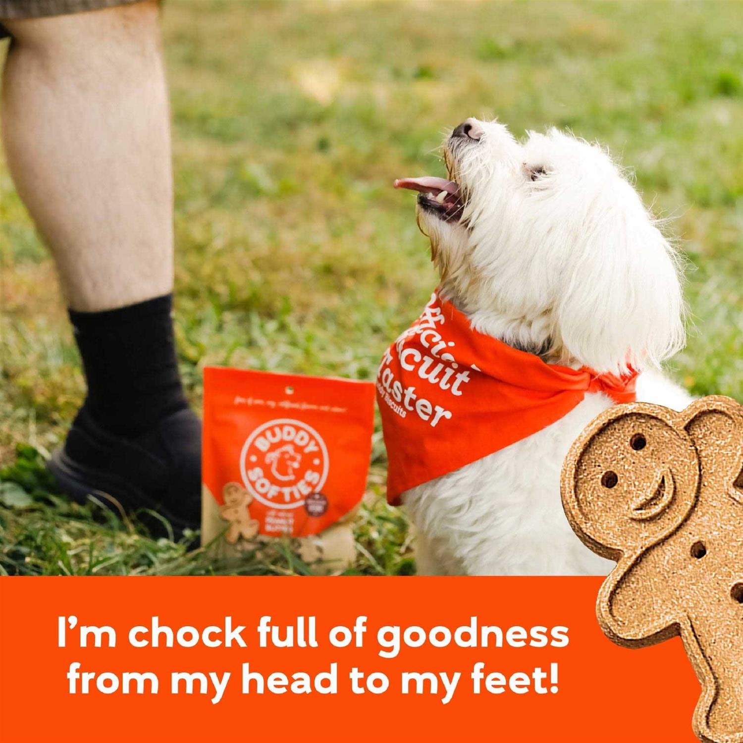Peanut Butter Soft and Chewy Dog Treats A2493