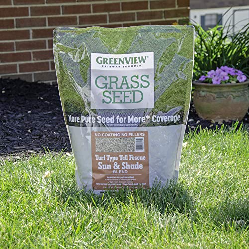 3 lbs. Tall Fescue Grass Seed O44199