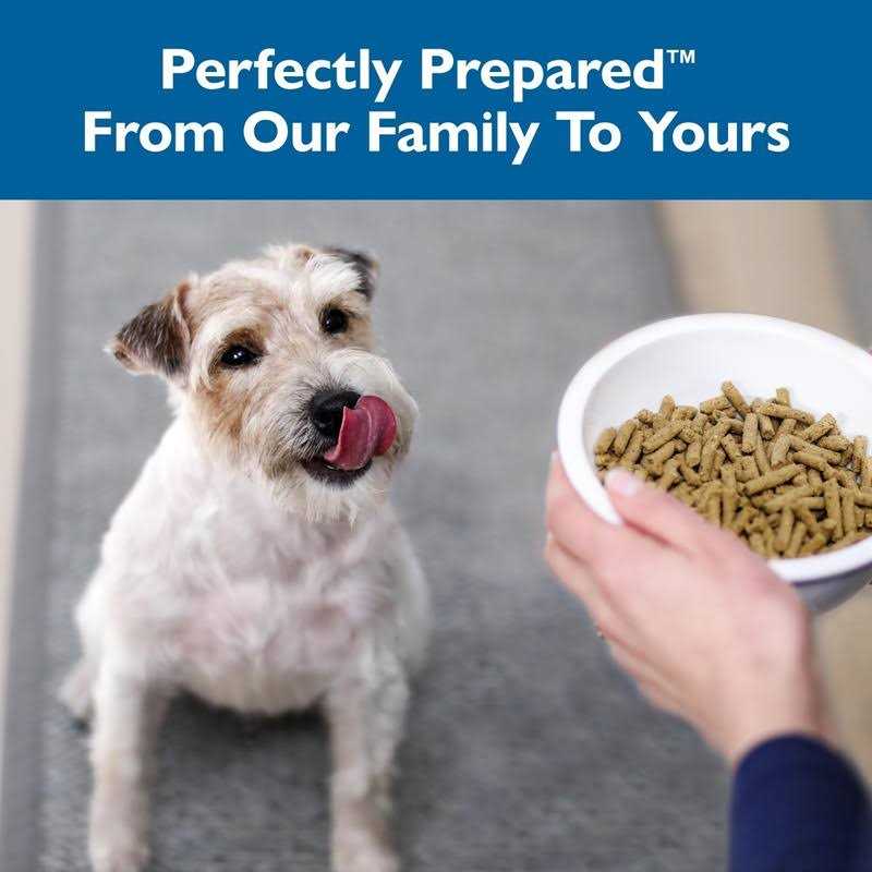 Small Breed Adult Dry Dog Food Z49621