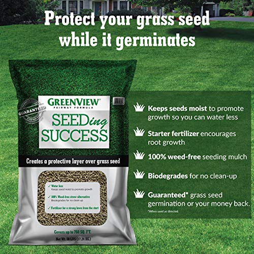 3 lbs. Tall Fescue Grass Seed O44199