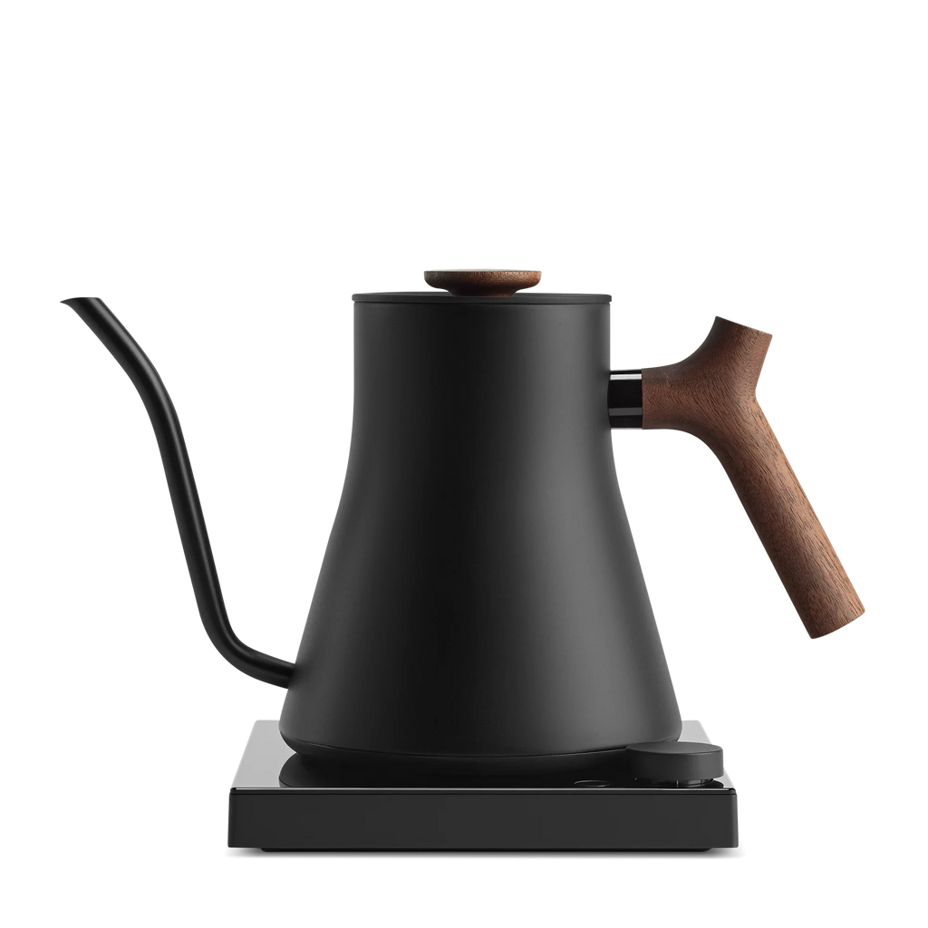 Electric Kettle E208078