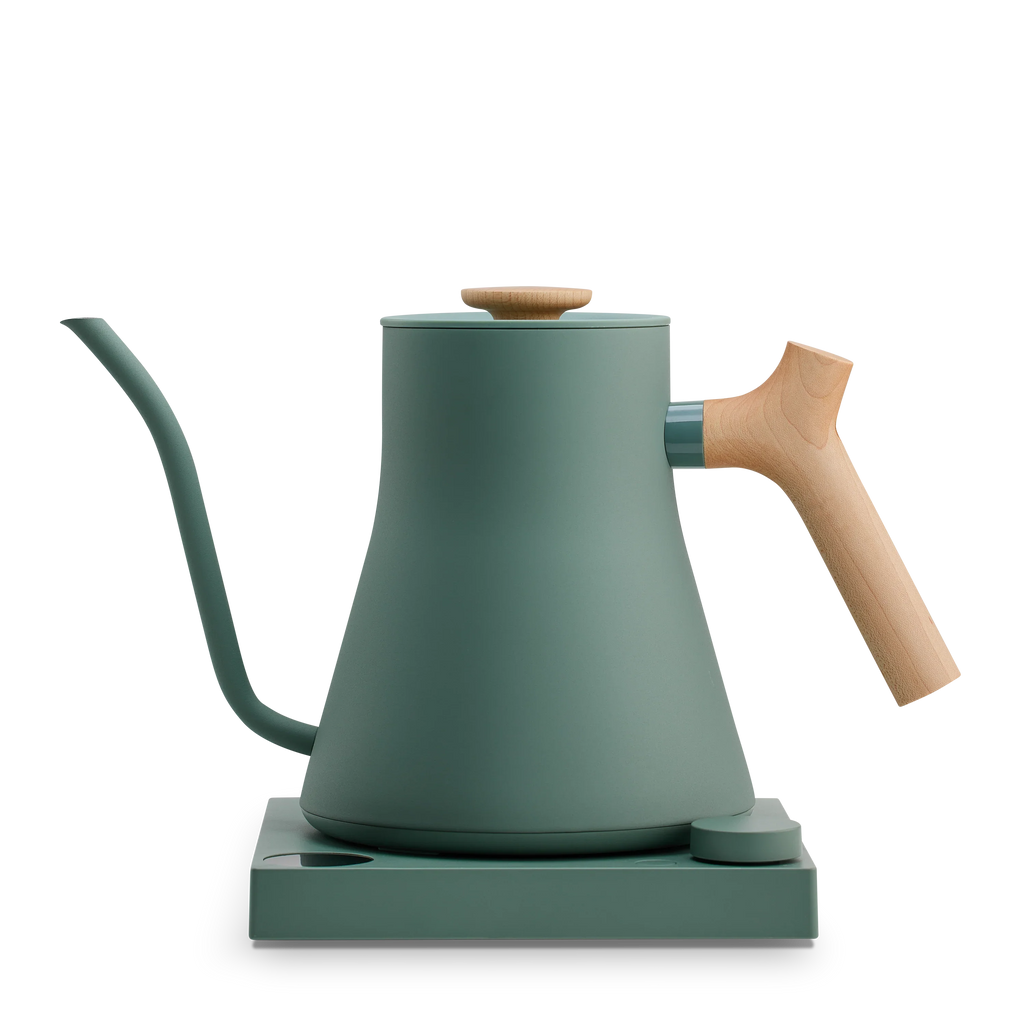 Electric Kettle E208078