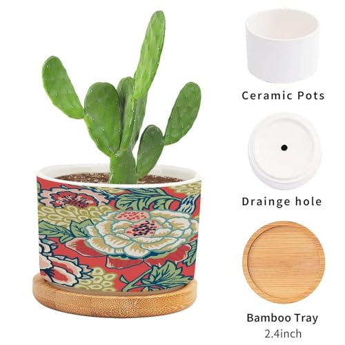 Pink and Blue Ceramic Round Flower Pots with Drainage Holes and Bamboo Tray I636