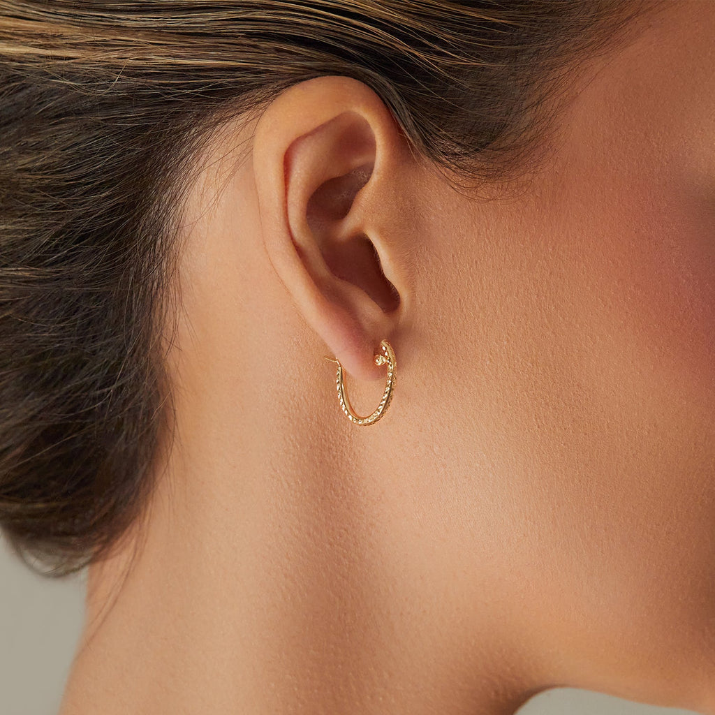Oval Hoop Earrings N6045