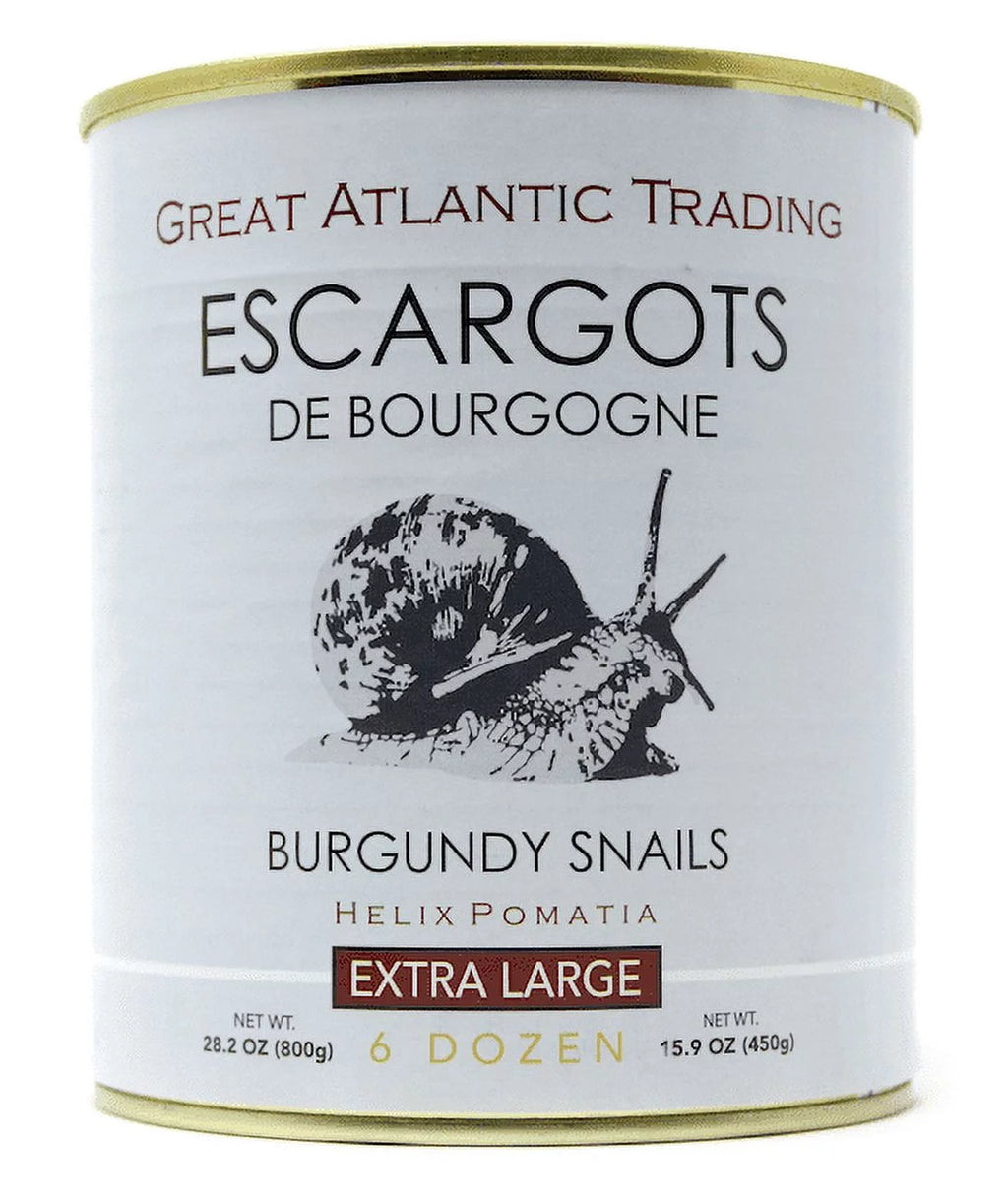 72 Pieces Organic Helix Burgundy Snails C215