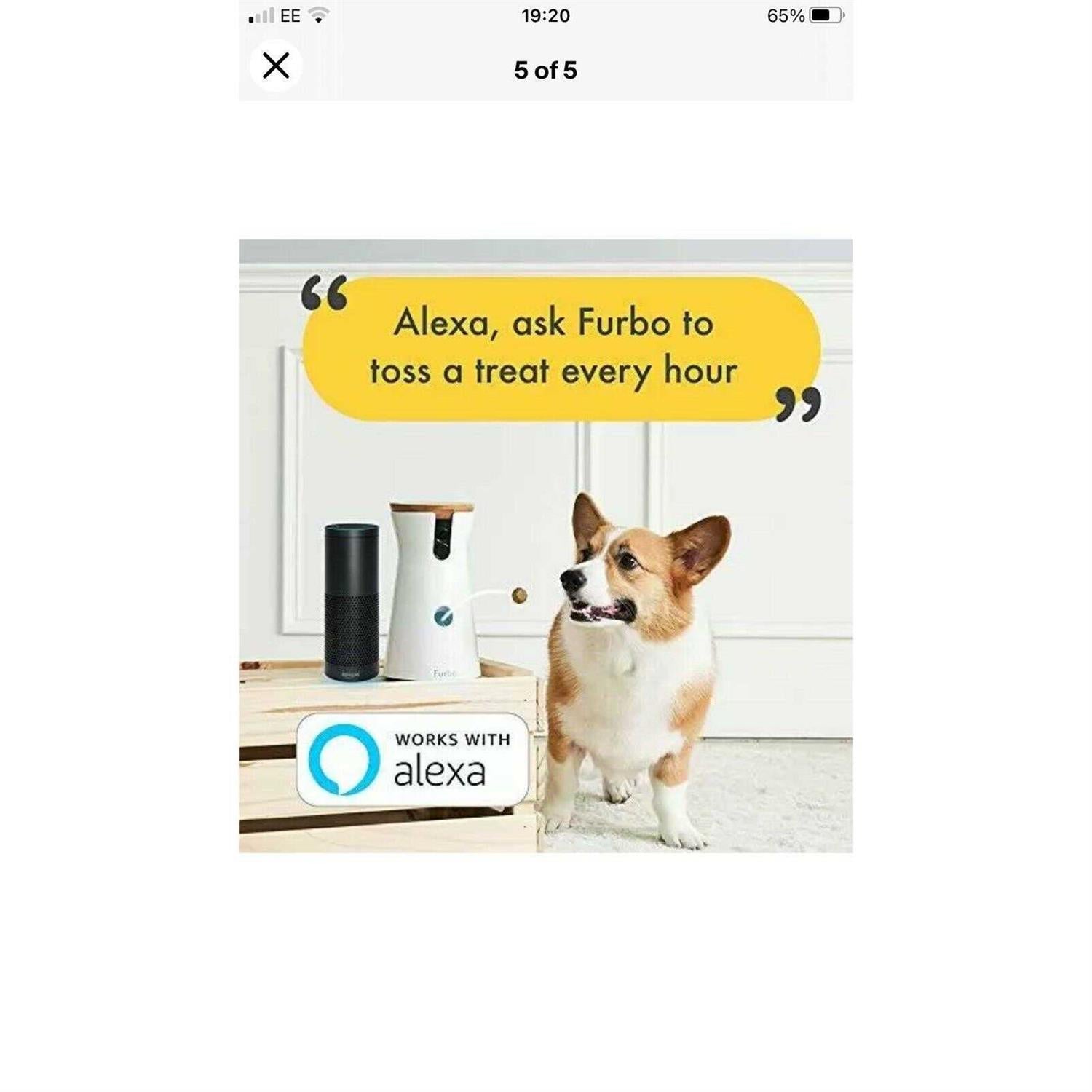 Dog Camera M853