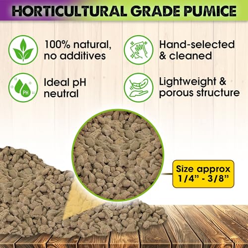 Horticultural Pumice 2 QT 1/4" - 3/8" W805