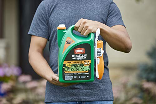 1.33 gal Lawn Weed Killer V26602