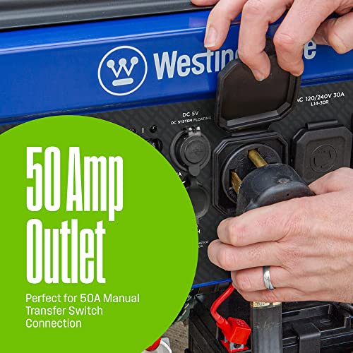 13500 Peak Watt Tri-Fuel Portable Generator Z984
