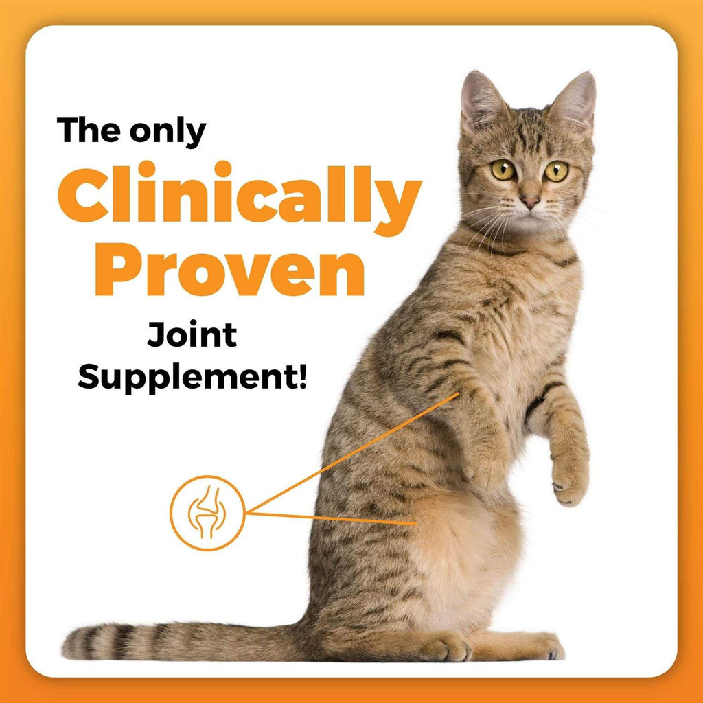 GlycoFlex Plus Hip & Joint Support for Cats J63326