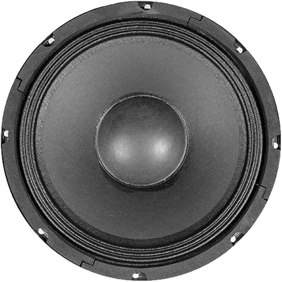 10" Raw Woofer Speaker T14834