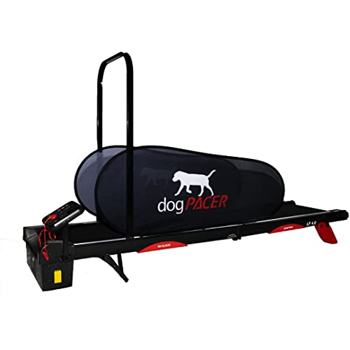 Black Full Size Dog Treadmill P685