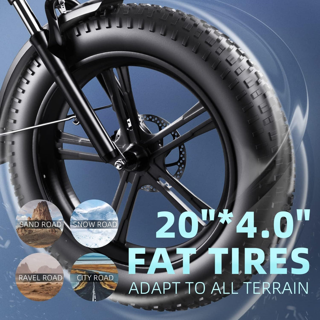 Folding Electric Bike, 48V18Ah/12.8ah Removable Lithium Battery, 750W Motor, 20" Fat Tire, Shimano 7-Speed, Dual Shock Absorber R260