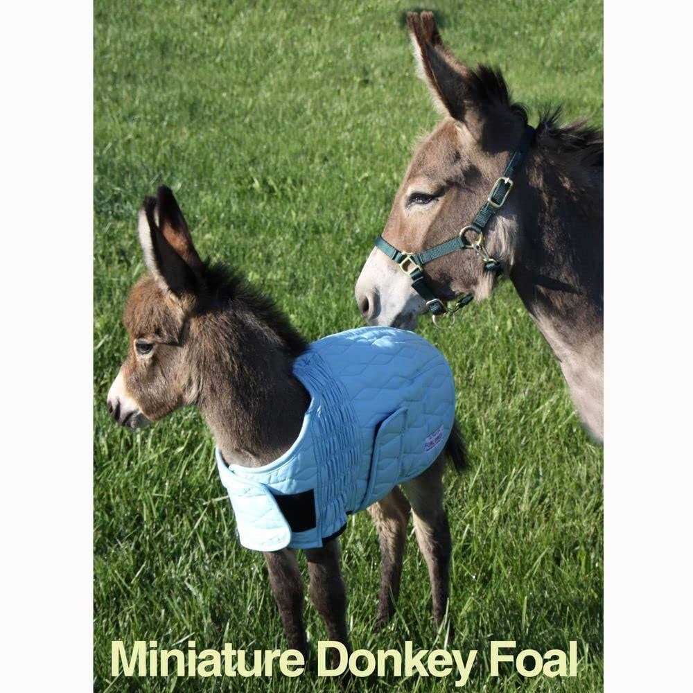 Lightweight Foal Saver B65917