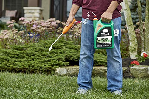 1.33 gal Lawn Weed Killer V26602