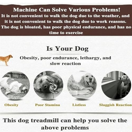Dog Treadmill for Large Dogs K20867