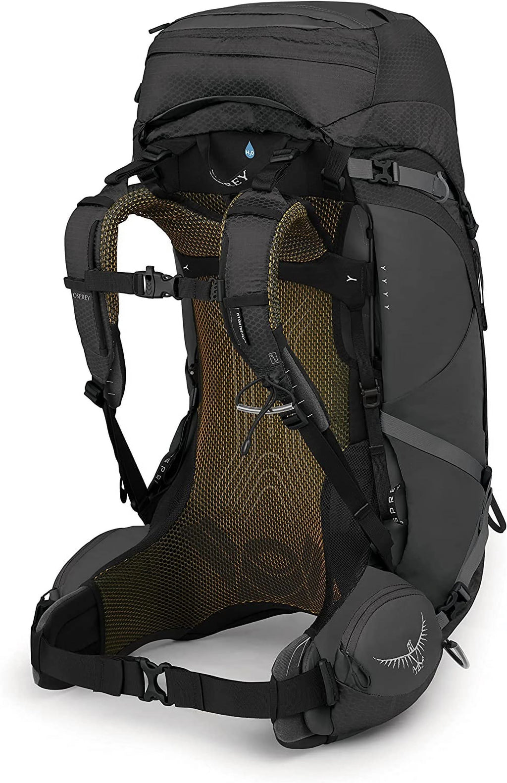 Black L/XL Backpack A3664