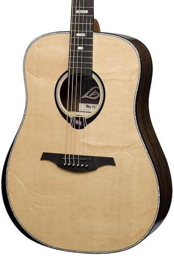 50 Dreadnought Bevel Gloss Acoustic Guitar I294
