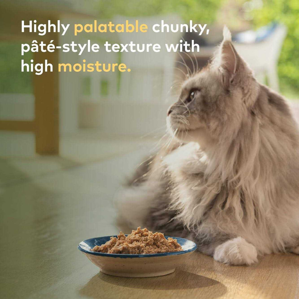 Rabbit & Lamb Recipe Canned Cat Food Z794