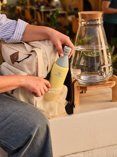 20 oz Insulated Stainless Steel Water Bottle V146