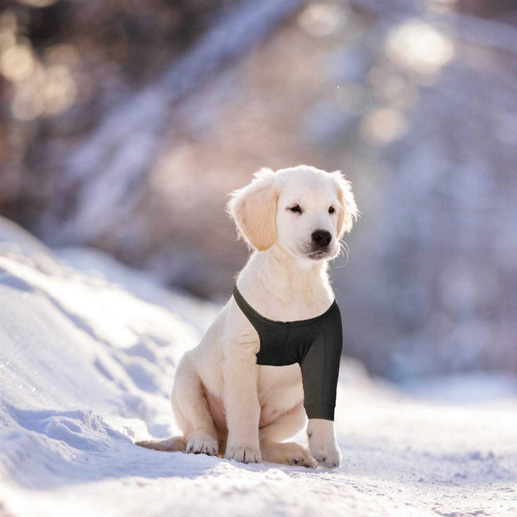 Dog Recovery Sleeve Y932