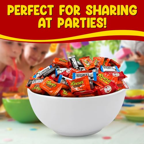 Bulk Chocolate Candy Mix Miniature Size - 5 Pounds Approx 210 pieces O5507