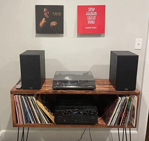 Honey Vinyl Record Storage Furniture Z778
