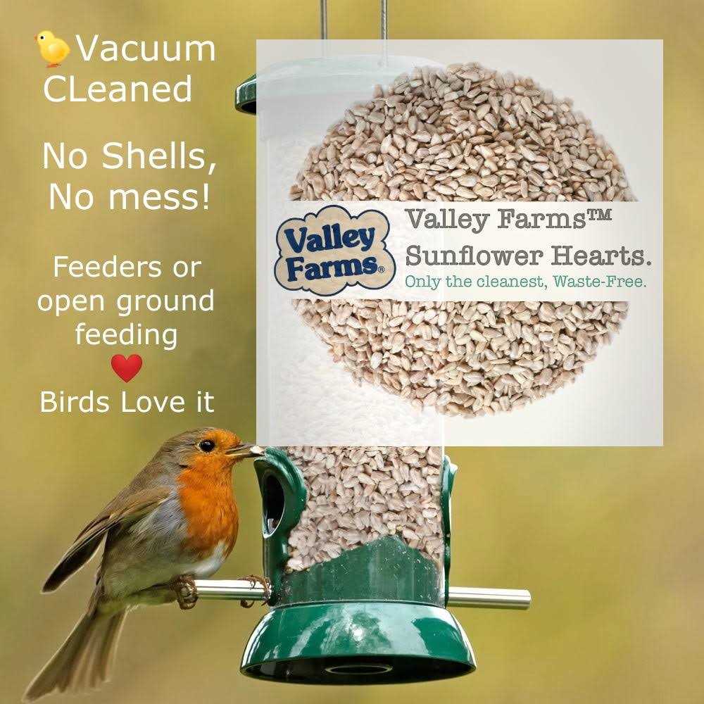 Sunflower Hearts Wild Bird Food N31802