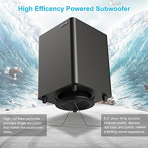 Powered Subwoofer with Coaxial Cable M98165