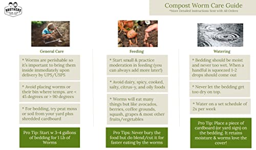 1/2 LB Red Wiggler Compost Worm Blend W792