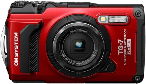 Red Digital Camera T53349