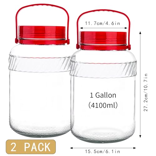 2 Pack 128 oz Glass Mason Jars with Lids H870