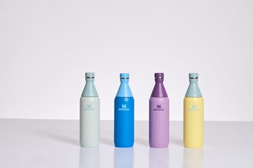20 oz Insulated Stainless Steel Water Bottle V146