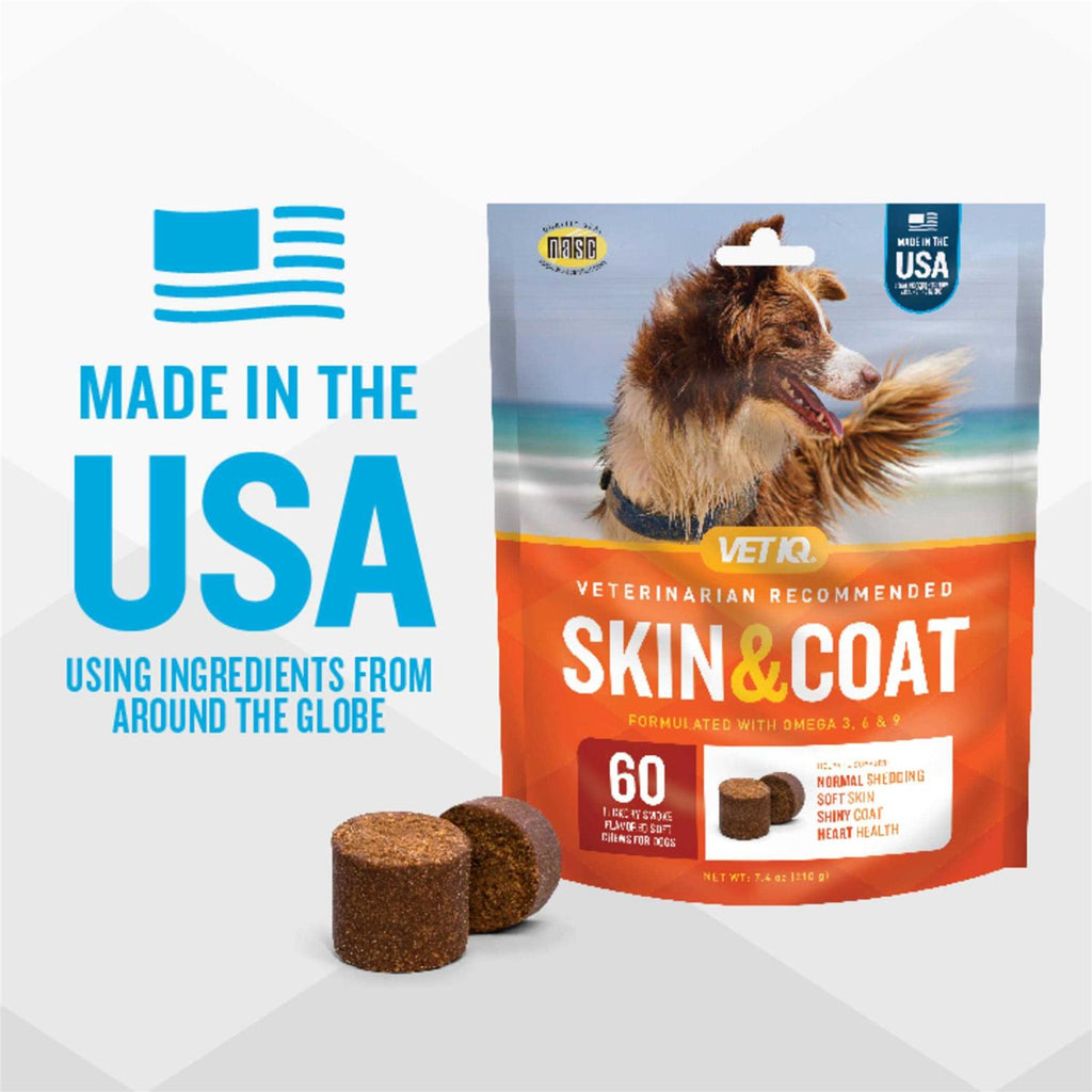 Skin & Coat Soft Chews X8517