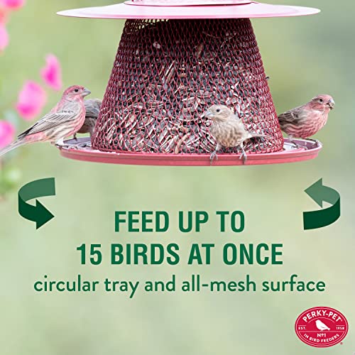 Red Cardinal Bird Feeder - 2.5 Feed Capacity S373