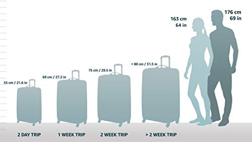 White/Grey Hardside Carry-On 21-Inch Luggage N2261