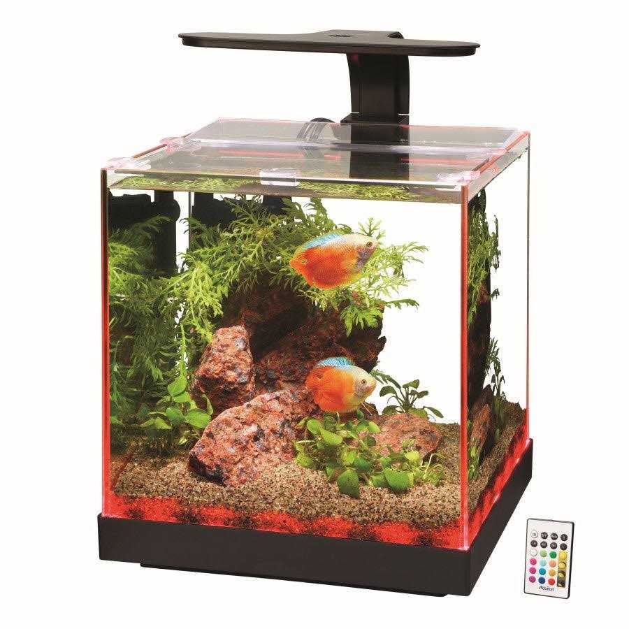 Edgelit Cube Aquarium Q2996